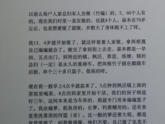 金山区枫泾镇新华村采访实录-徐汇艺术馆