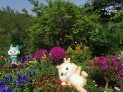 -国家植物园