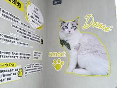 -上海浦东smart汽车全功能店(金桥店)