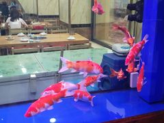 -元盛居(生态大街店)