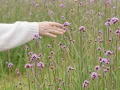 -漩门湾国家湿地公园