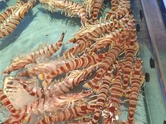 -阿伟海鲜楼·福建菜(延寿店)