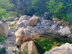 -禅宗少林·音乐大典