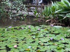 -食膳公园包子铺(烈士公园店)