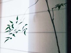 -见山茶事(丽水路店)