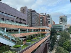 -香港大学