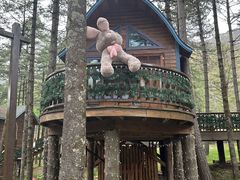 -洛阳白云山景区