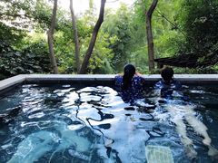 -天目湖涵田半山温泉