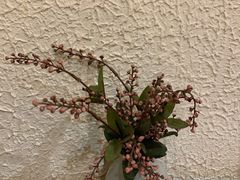 -猫爷的腔调·黔小馆(交大医学住宅区店)