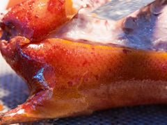 -月福京味斋·烤鸭店·北京菜(鼓楼总店)