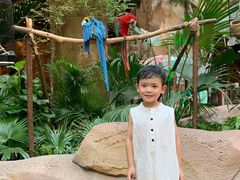 -杭州开元森泊度假乐园