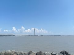 -上海吴淞炮台湾国家湿地公园