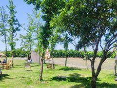 -广富林郊野公园