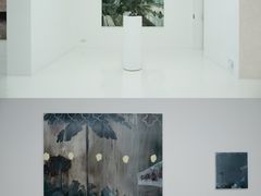 -胶囊画廊