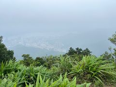 -梧桐山风景名胜区