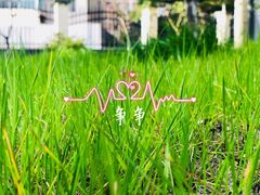 -锡师附小学(学前街校区)