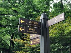 -徐家汇源景区-衡山公园