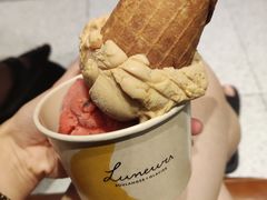 -LUNEURS月乐诗·法式冰淇淋(环贸店)