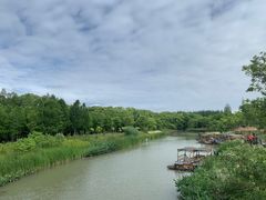 -上海长兴岛郊野公园