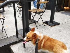 -Peet's 皮爷咖啡(东湖路手作店)