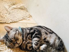 -小时光咖啡馆(北锣鼓巷店)