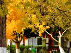 -上海交通大学(闵行校区)