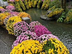 -杭州植物园