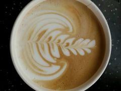 android_upload_pic-猫屎咖啡(海印又一城店)