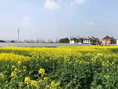 -小鱼草莓采摘园农家乐·小鱼餐厅