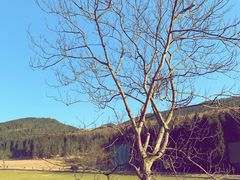 -武陵山森林公园