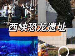 -中国西峡恐龙遗迹园