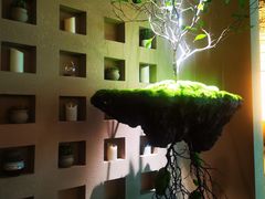 -若水云栖·足疗·按摩·SPA(城阳万达广场店)