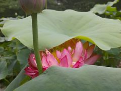 -北京邮电大学