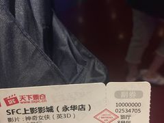 -SFC上影影城(港汇永华IMAX激光店)