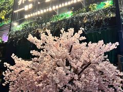 -临界音乐酒馆·小龙虾·江湖菜(华熙LIVE·鱼洞店)