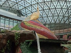 -花之城