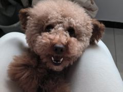 -正味斋锅巴菜(西北角店)