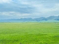 -新疆那拉提国家旅游度假区