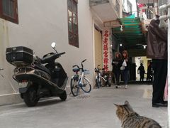 -老妈宫粽球