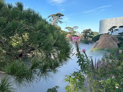 -罗红摄影艺术馆