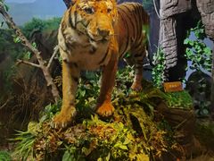 -陕西自然博物馆