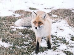 -华晨宝马铁西工厂