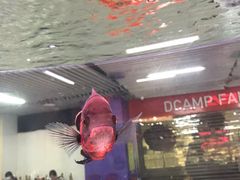 -连城·新天地(福华一路店)