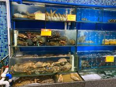 水产区-蚝专家(北滘店)