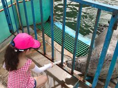-北戴河圣蓝海洋公园