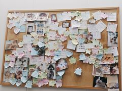 -爱诺耐芙动物医院(万博店)