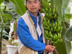 -上海鲜花港