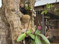 -瑞穗牧场