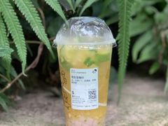 海盐菠爆柠-喜茶(广州保利中环店)