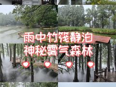 -东湖落雁景区